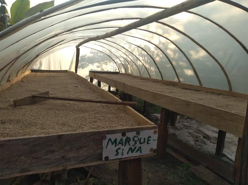 Frutos del bosque Asociación